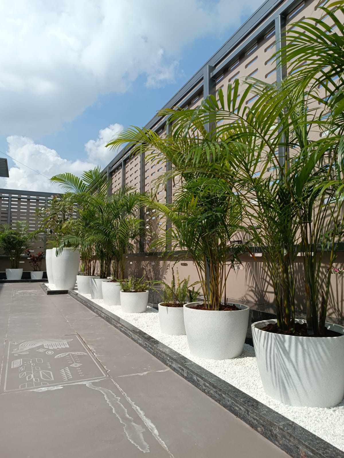 Vertical Garden & Living Wall System